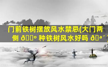 门前铁树摆放风水禁忌(大门两侧 🐺 种铁树风水好吗 🪴 )